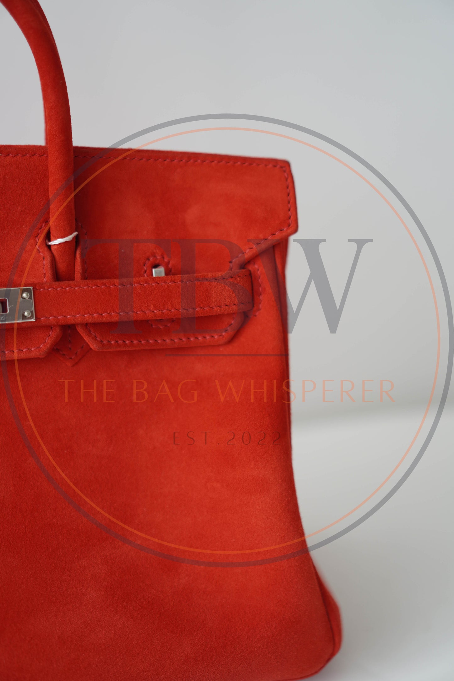 Birkin 25 Doblis in Rouge Vif suede