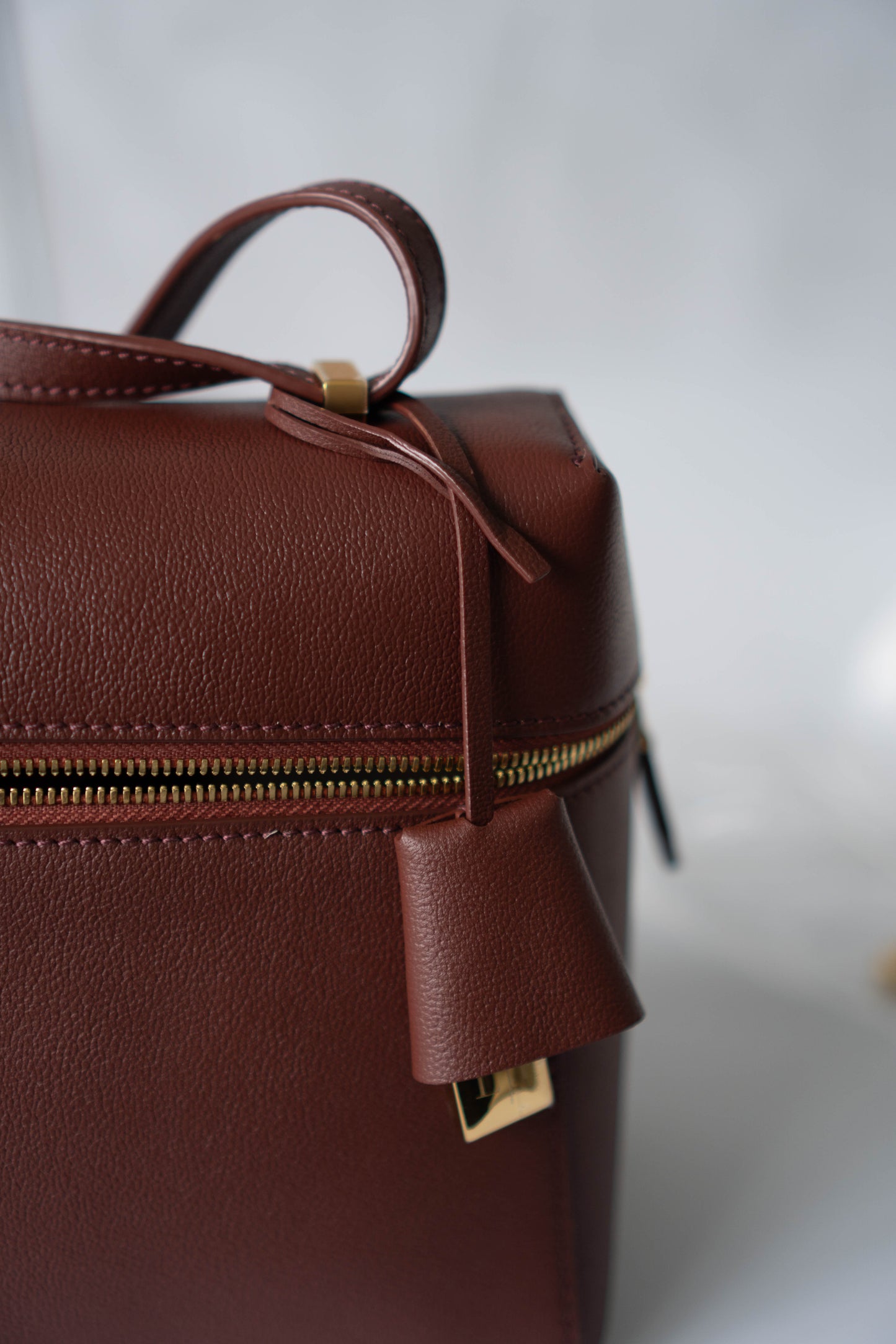 LP Extra Pocket L19 Bag – Chestnut Calfskin Leather with Gold Hardware
