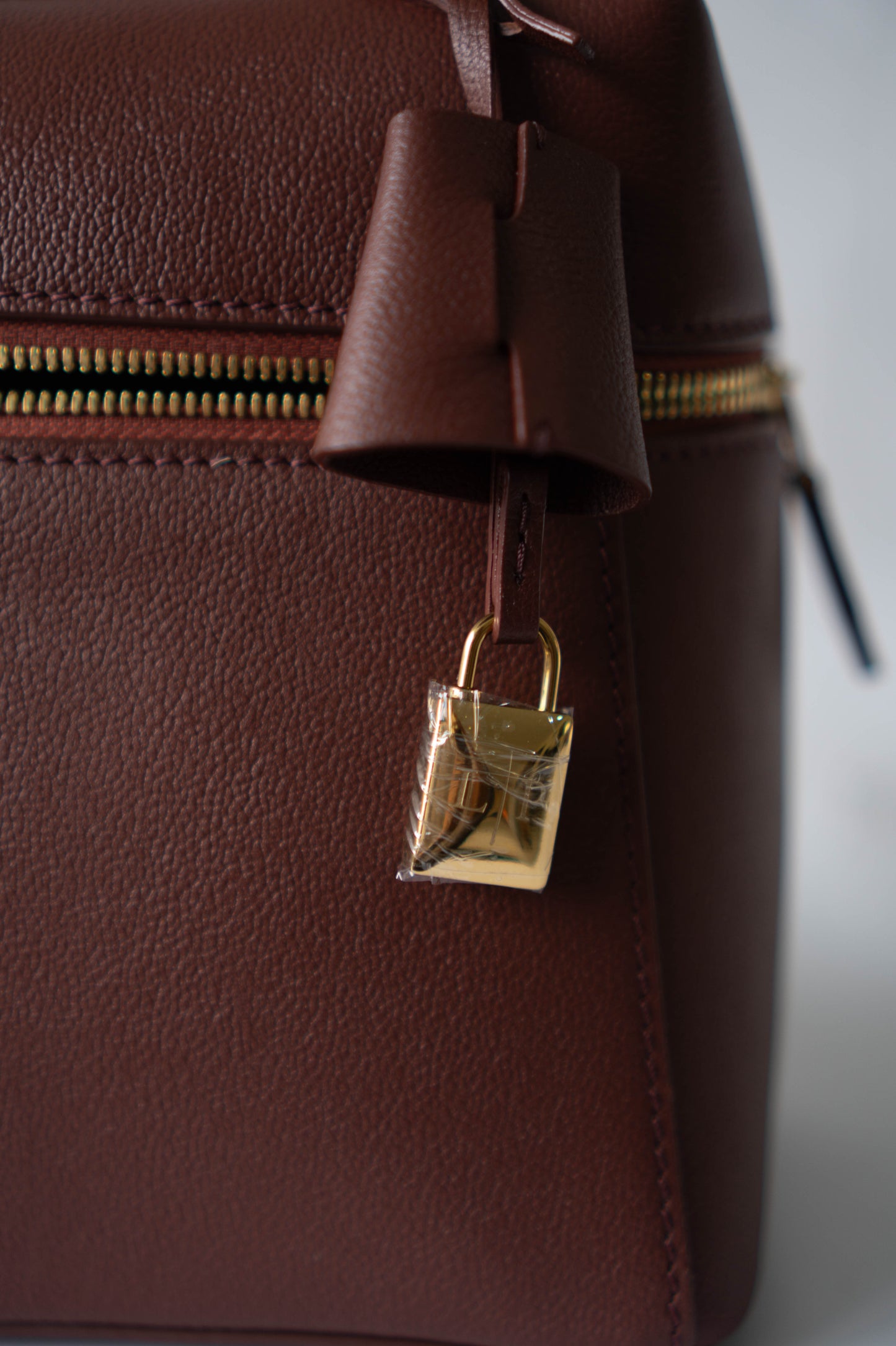 LP Extra Pocket L19 Bag – Chestnut Calfskin Leather with Gold Hardware
