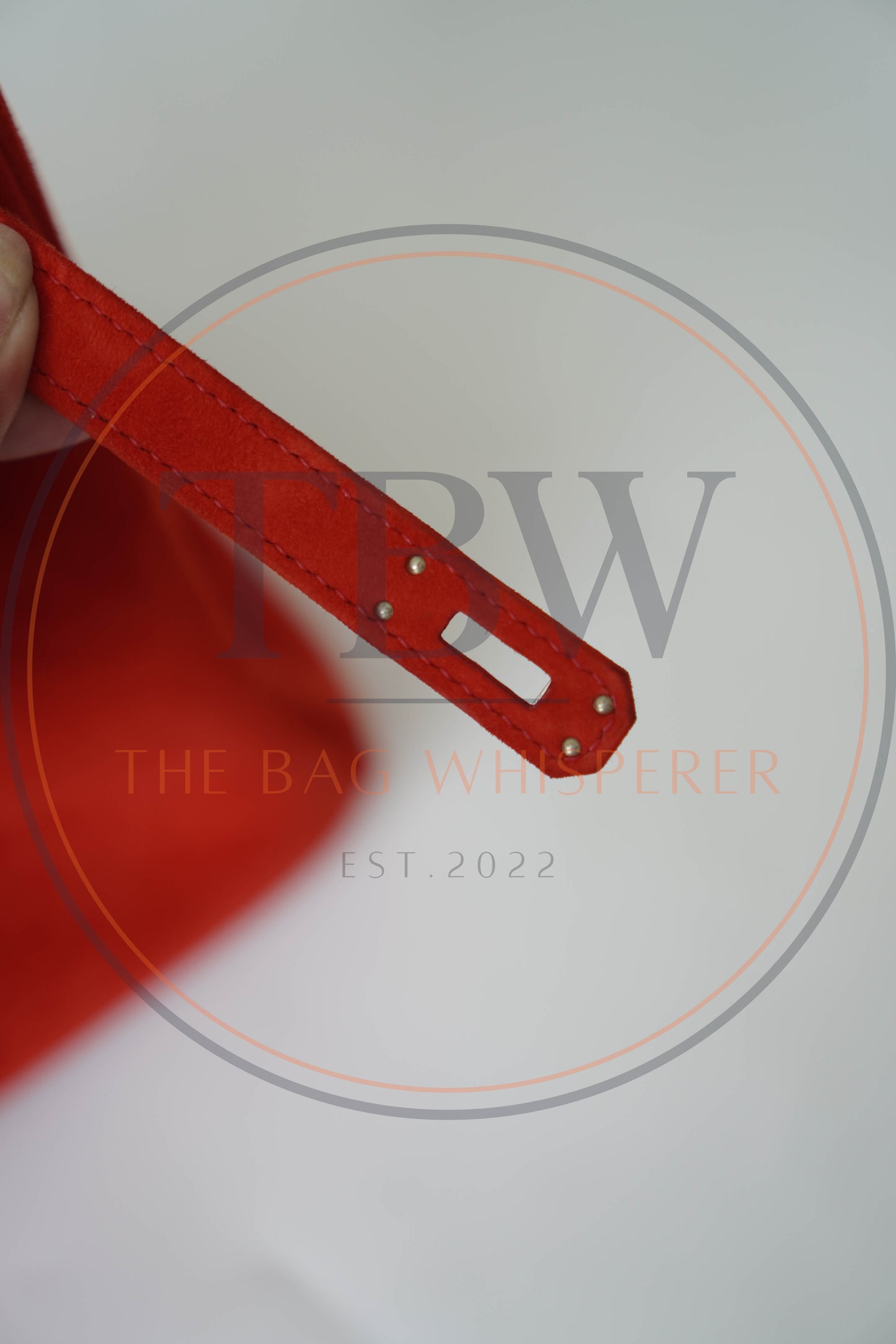 Birkin 25 Doblis in Rouge Vif suede