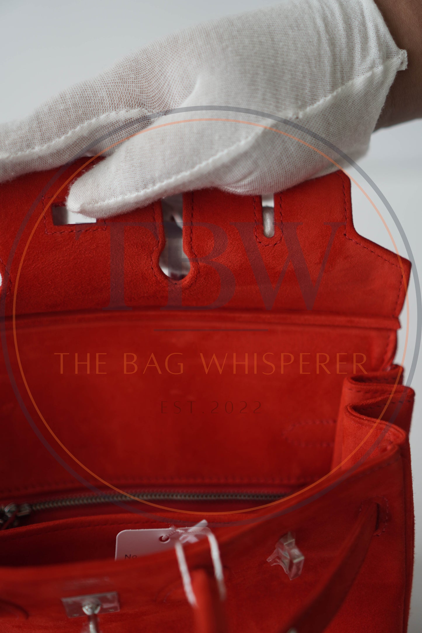 Birkin 25 Doblis in Rouge Vif suede