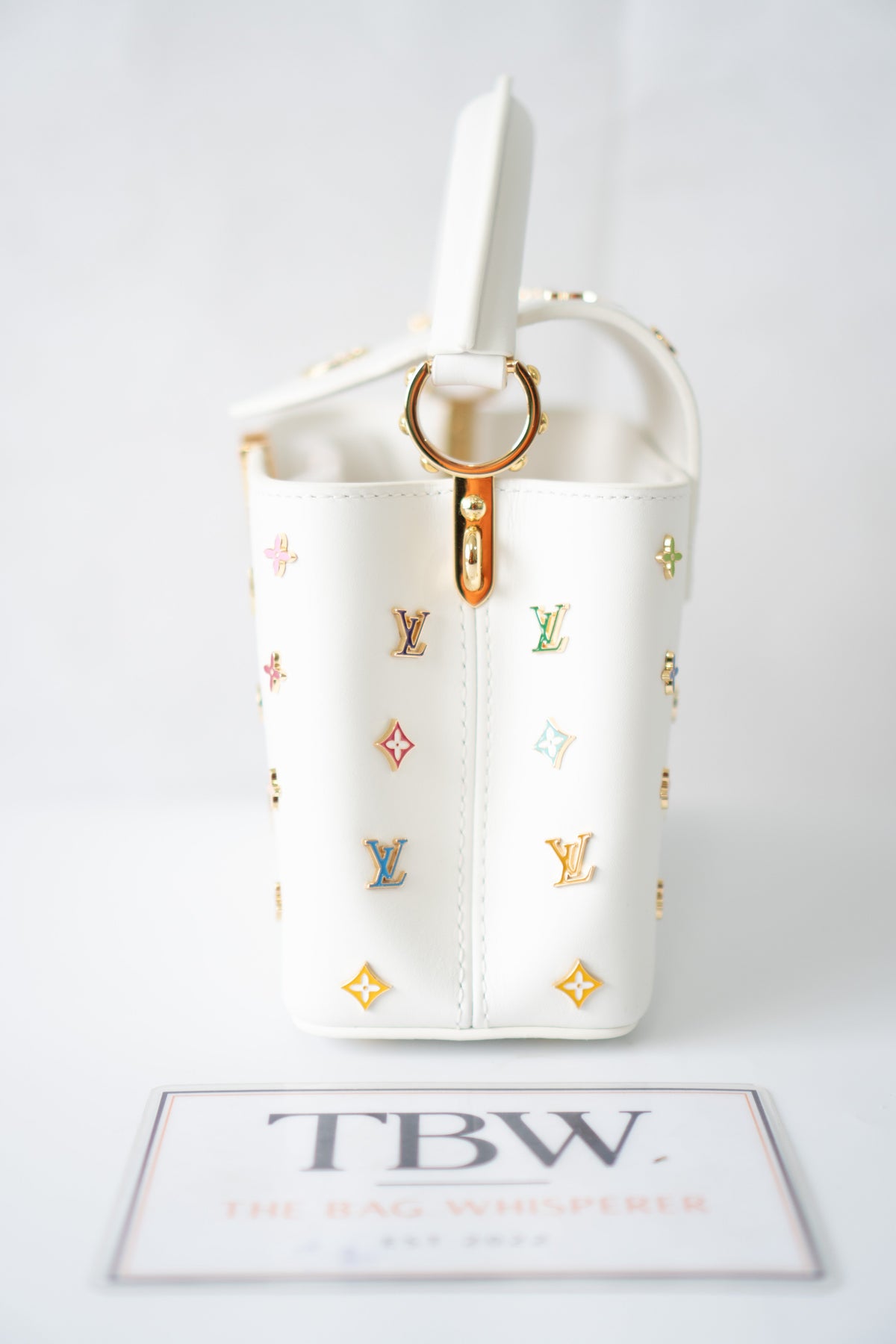 Capucine Mini – White Leather with Multicolored Flower Accents and Gold Hardware