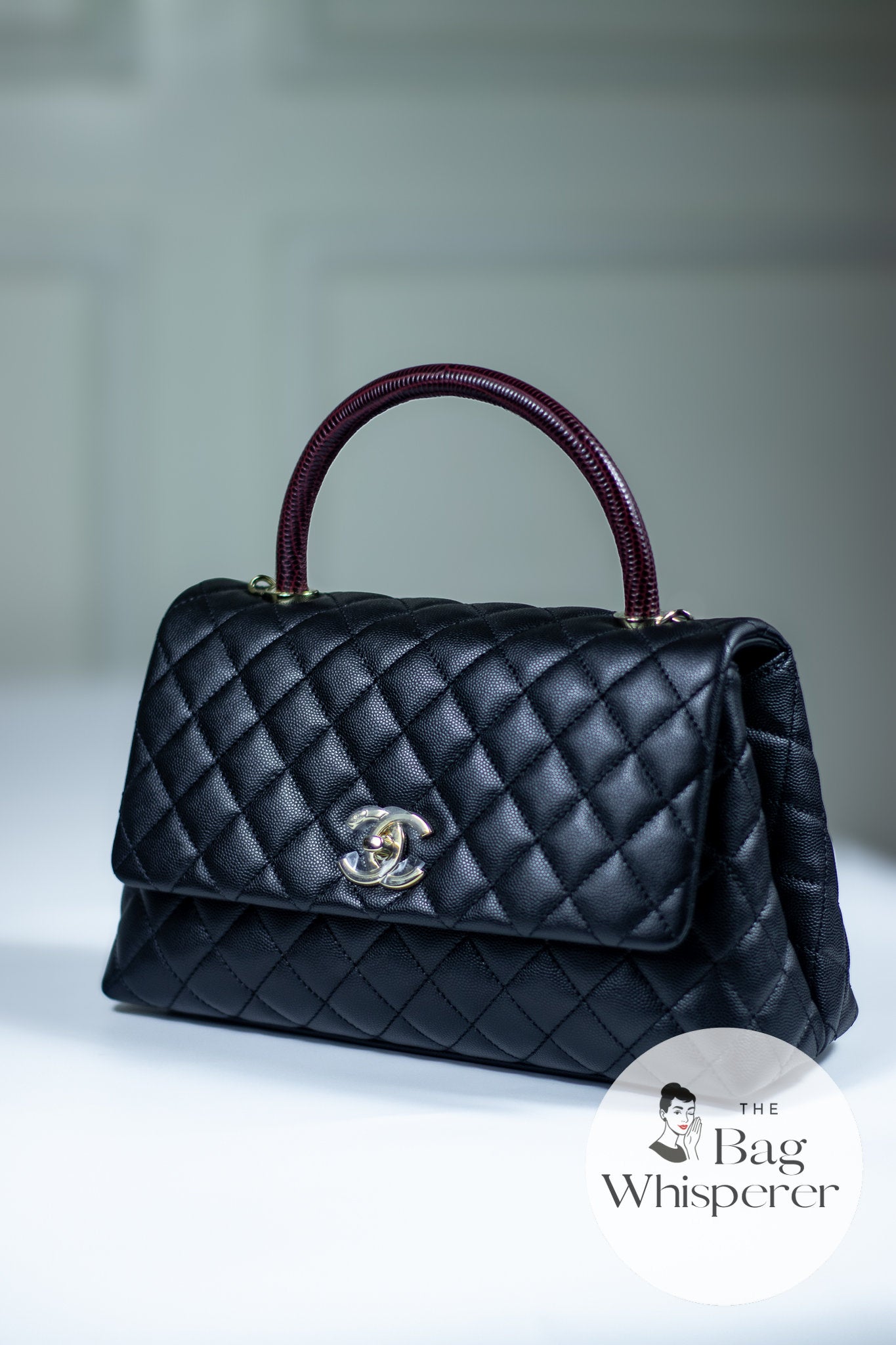 Coco Handle Medium with snake skin handle