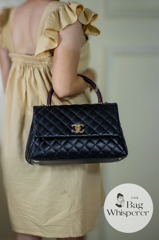 Coco Handle Medium with snake skin handle
