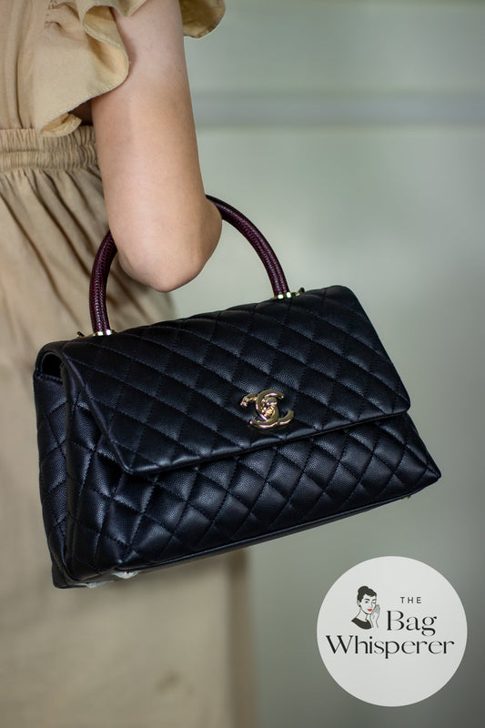 Coco Handle Medium with snake skin handle